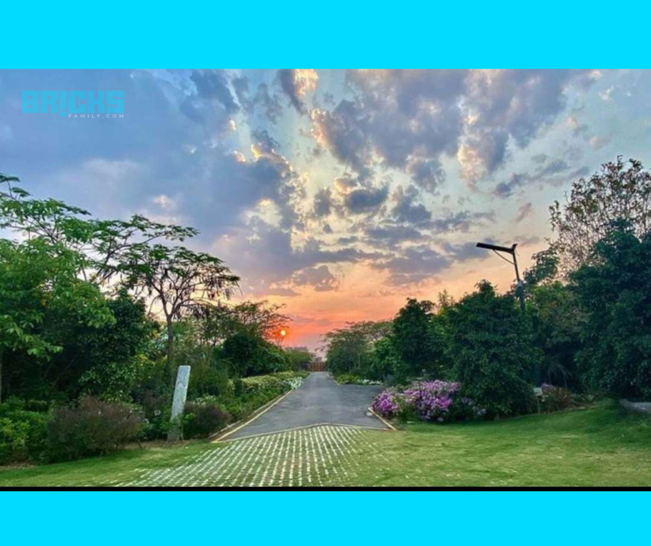 A wide-eye view of the garden area of the Dhoni farmhouse in Ranchi.