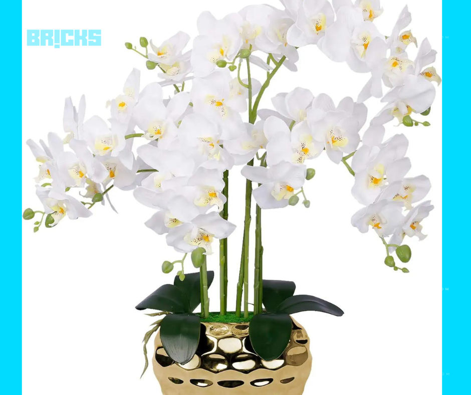 White orchids placed in the bedroom as decor for an elegant touch