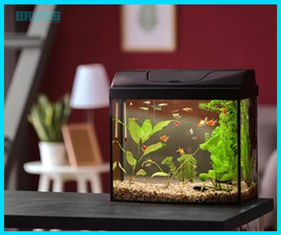 An aquarium in the living - great feng shui home decor