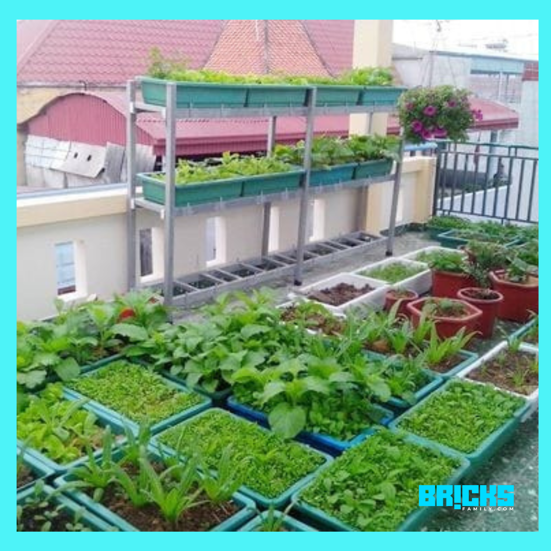 Rooftop farming