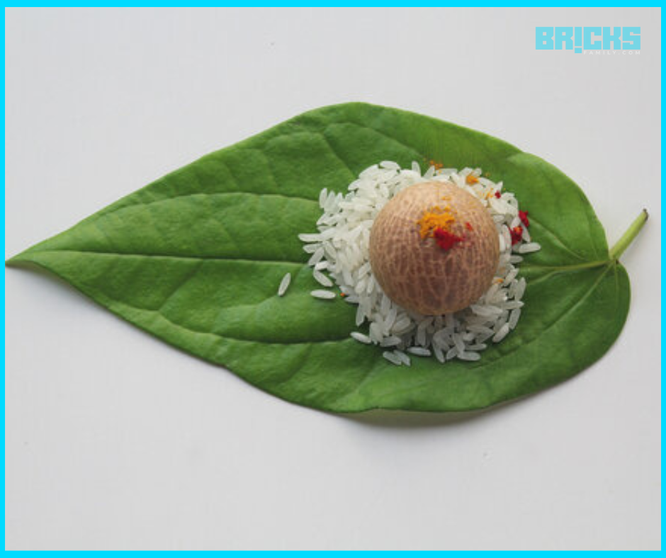 Paan leaf for diwali puja 