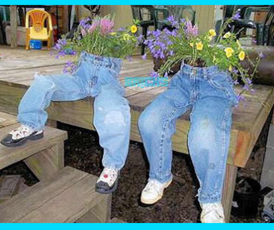 DIY jeans pant flower pots