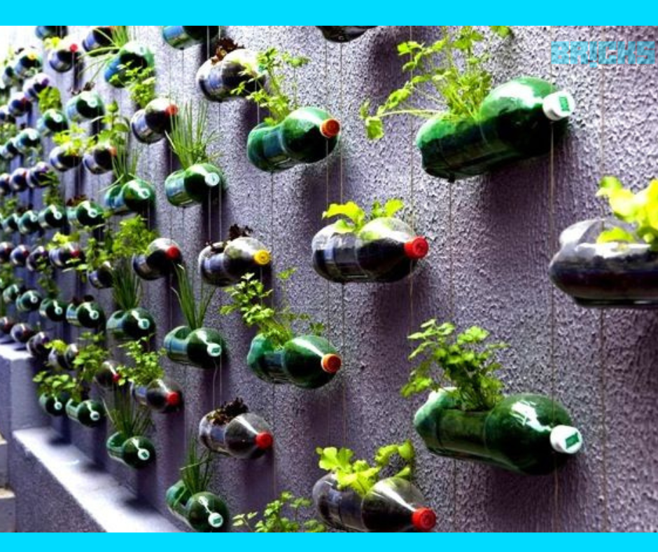 DIY plastic bottle pot planters