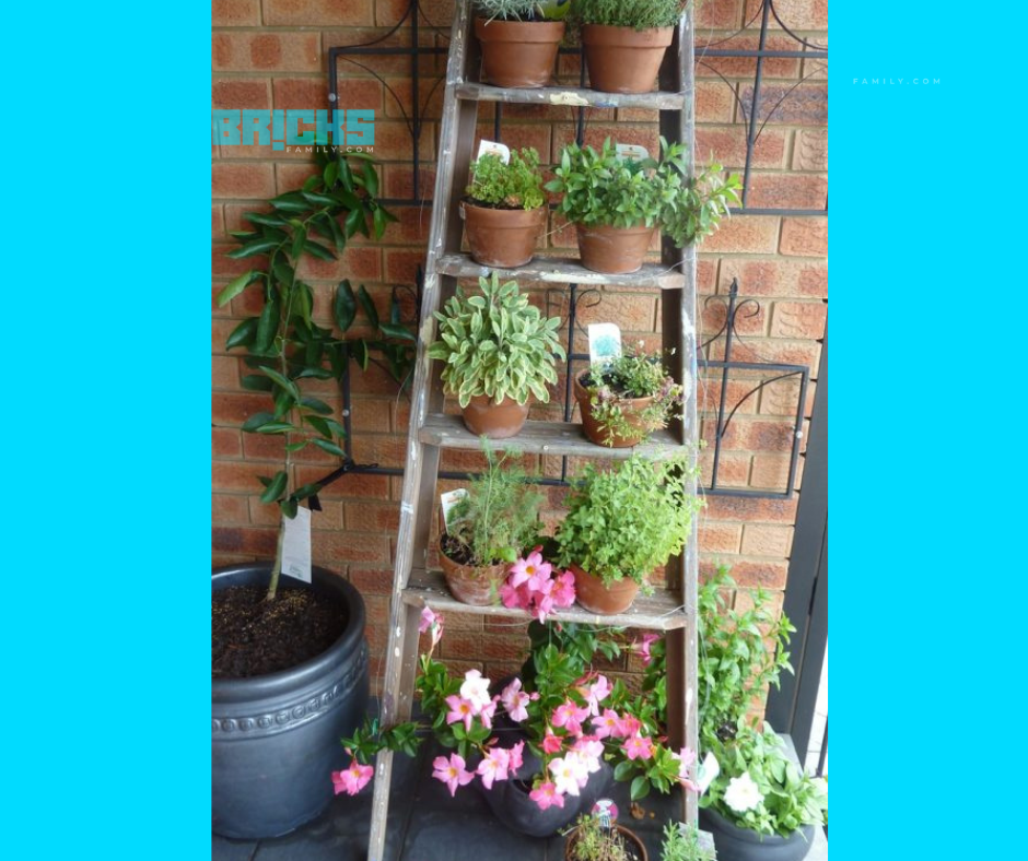 DIY ladder as planter shelf