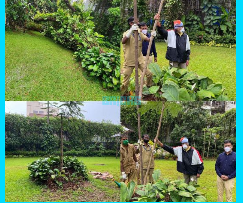 Amitabh Bachchan in the garden of Prateeksha