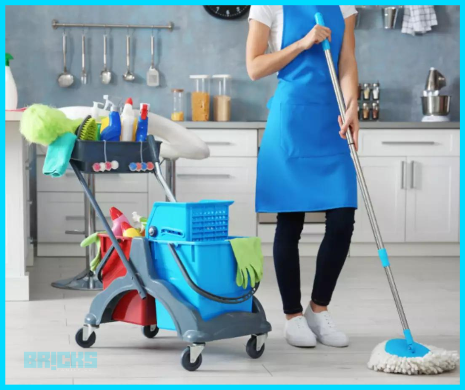 Professional house cleaning services provider.