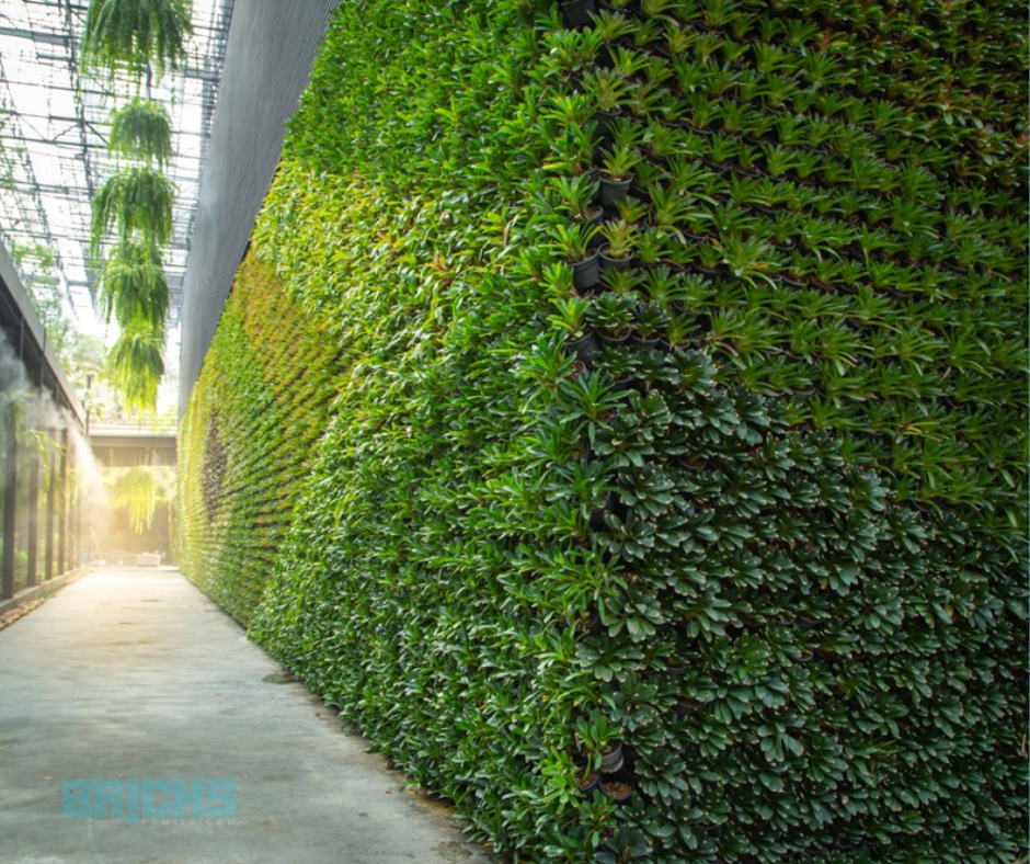 A view of a vertical garden inside green buildings