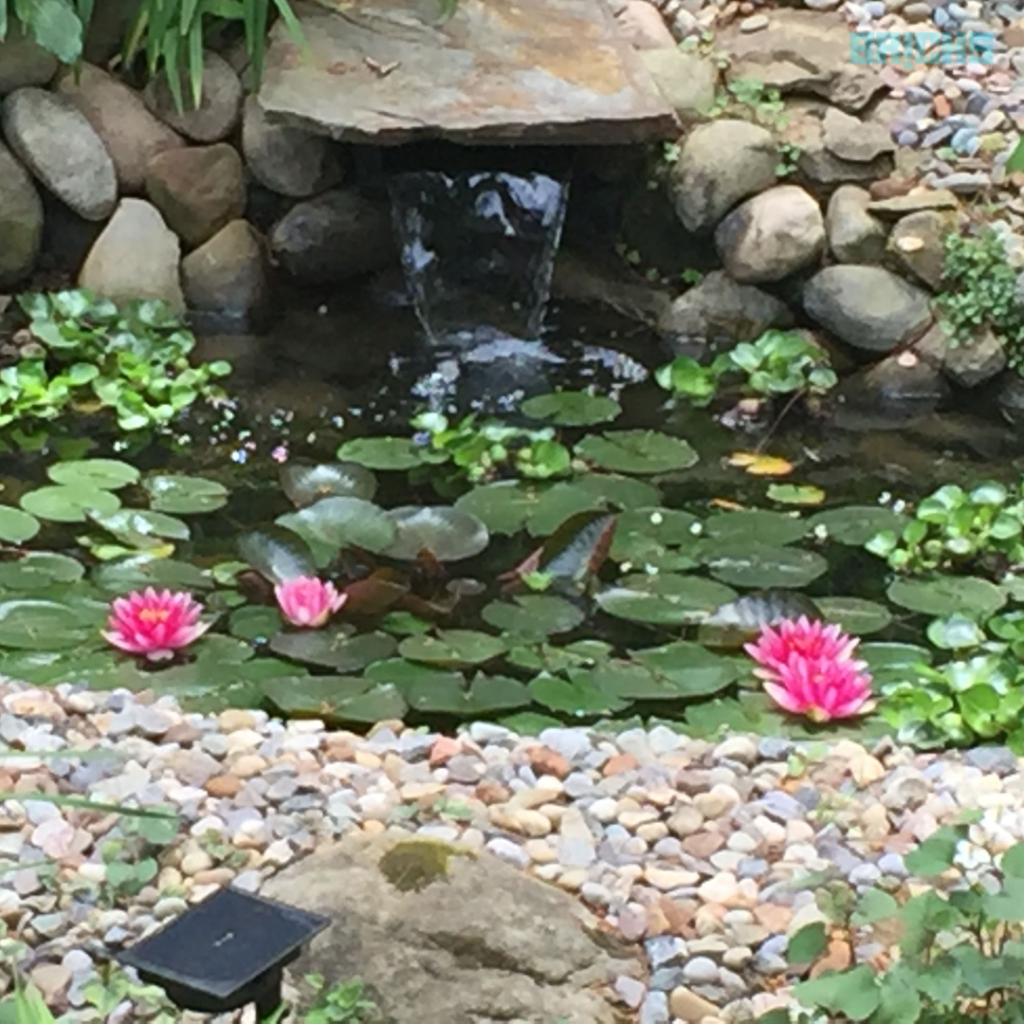 Water bodies in the house like an indoor fish pond help one relax. 