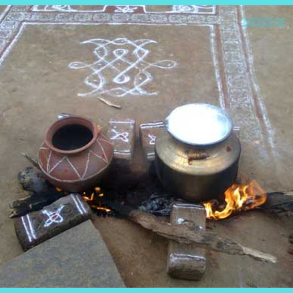 A pongal dish is being prepared on the auspicious day of Surya Pongal festival