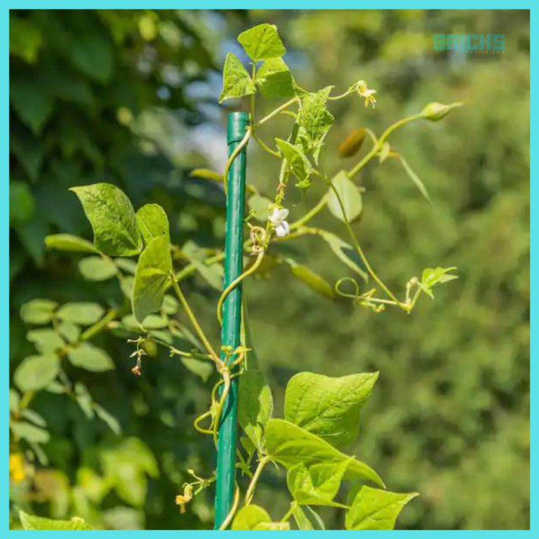 Garden Stakes Meaning, Types, Uses Decorative Garden Stakes