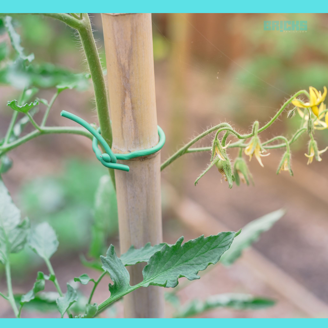 Garden Stakes Meaning, Types, Uses Decorative Garden Stakes