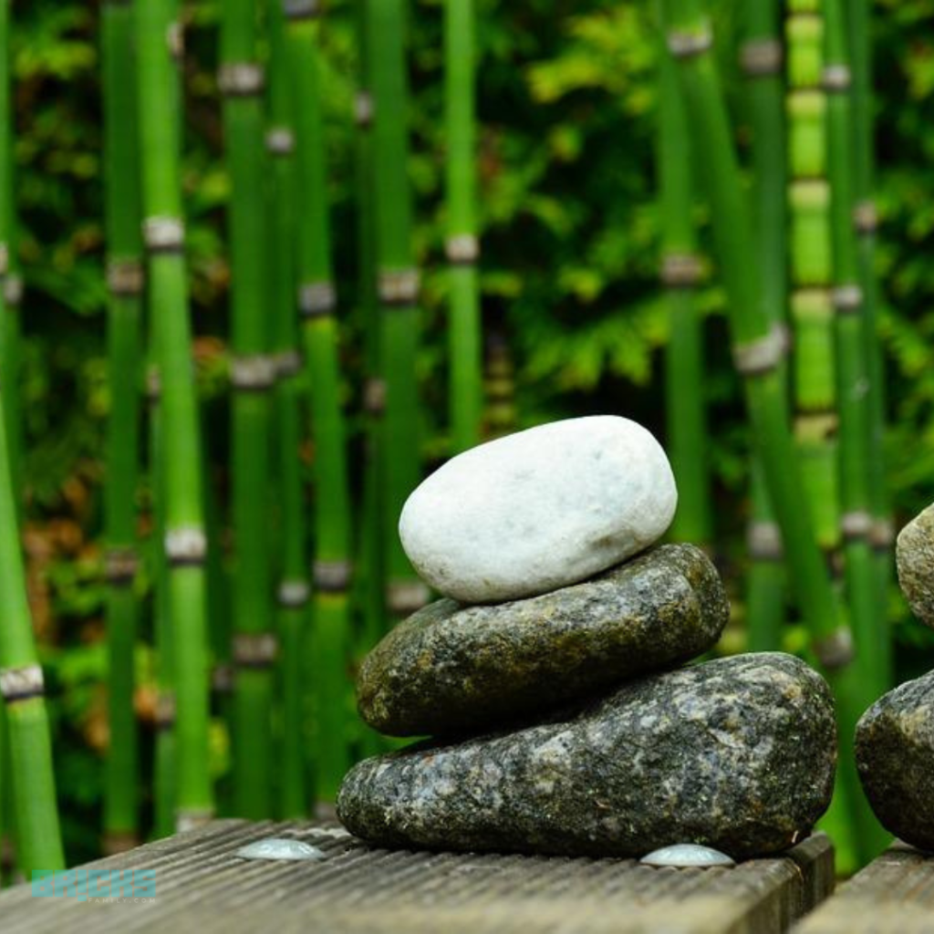 Bamboo brings about mental balance