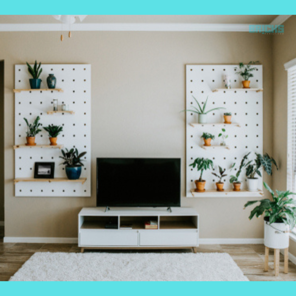 Money plants in a home