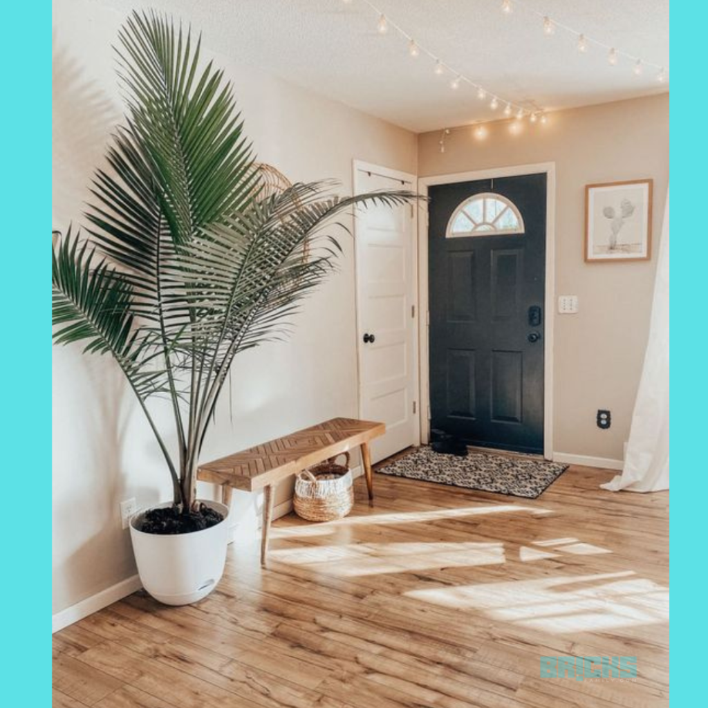 Palm tree placed in the entryway of the house.