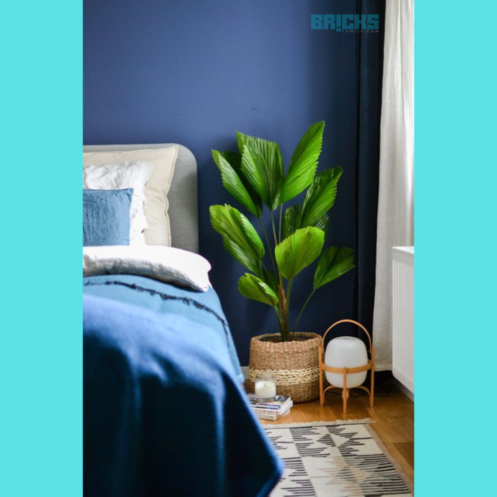 A fan palm tree in the bedroom adding a pop of colour and character to a room