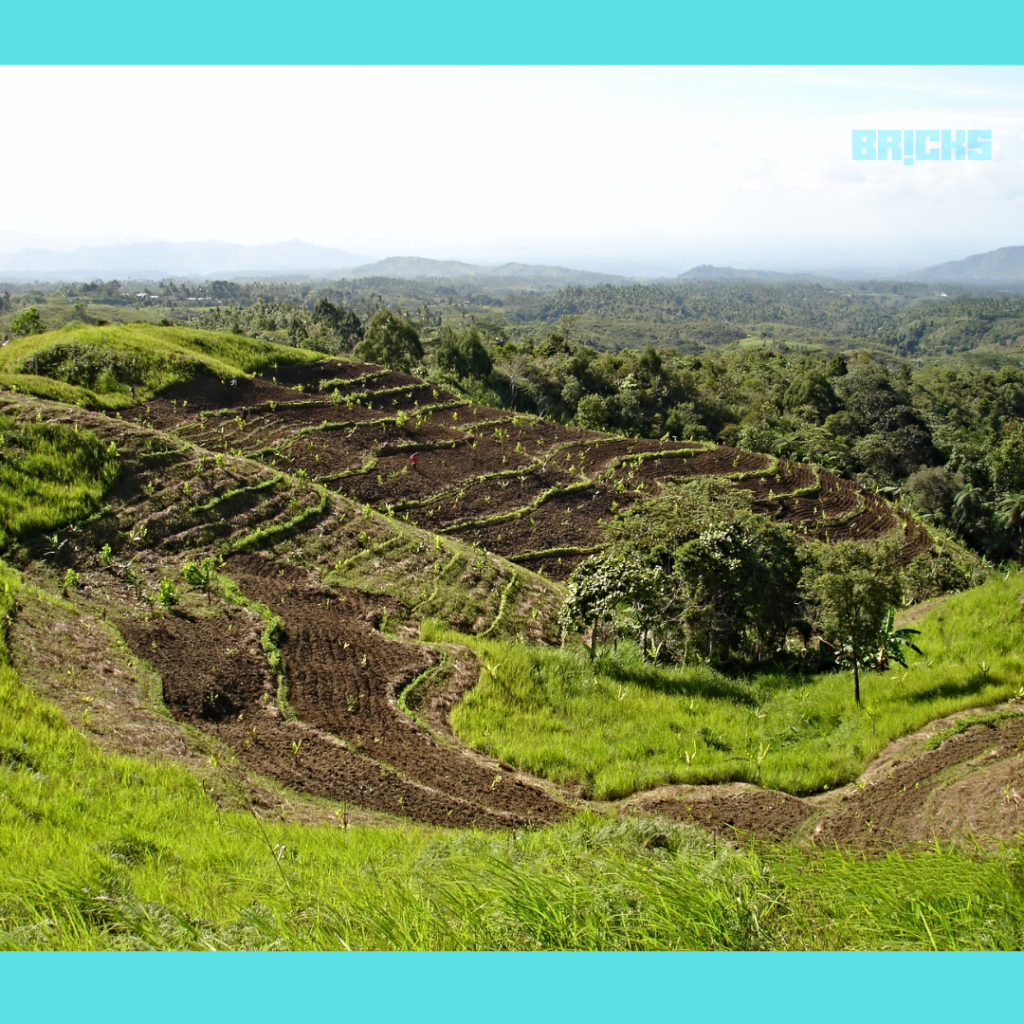 Slope in an agricultural land