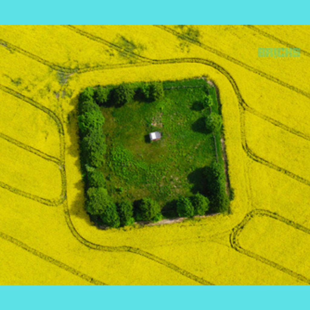 Aerial view of a square agricultural land