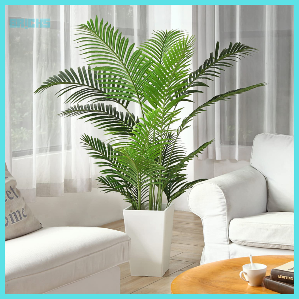 Areca Palm is an indoor plant that releases oxygen at night