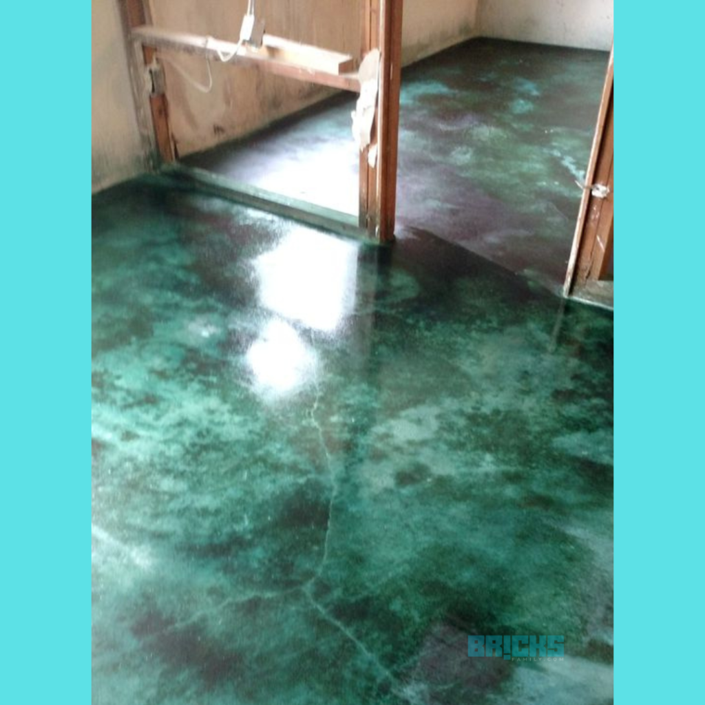 Stained IPS flooring 