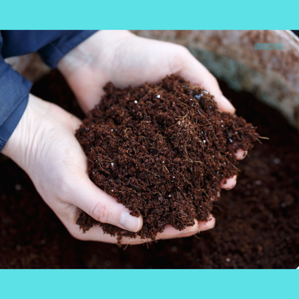 Coconut coir - the versatile natural fibre extracted from the husk of the fruit