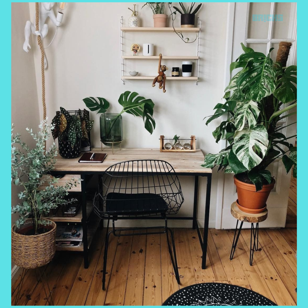 Study room design with plants 