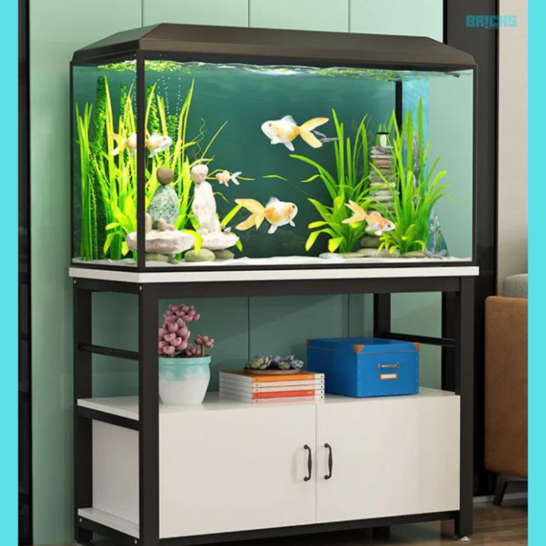 Vastu of Fish Aquariums: Significance, Benefits, Directions and ...