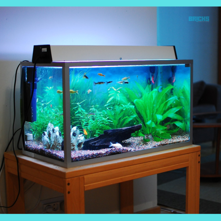 Vastu of Fish Aquariums: Significance, Benefits, Directions and ...