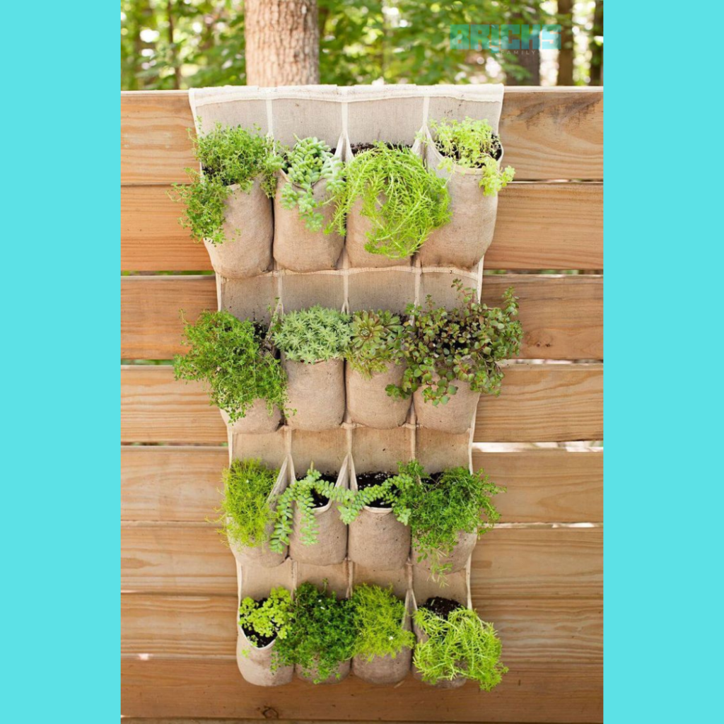 Herb pockets can easily grown in vertical garden