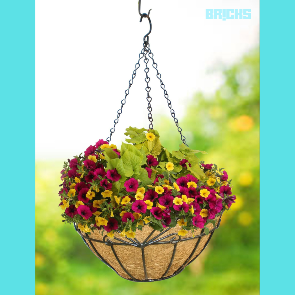 Hanging baskets to beautify your garden