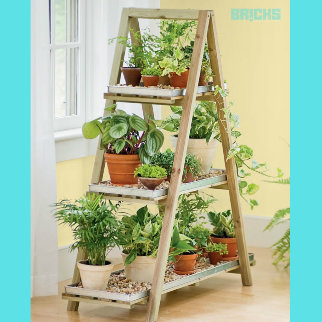 vertical gardening with a ladder