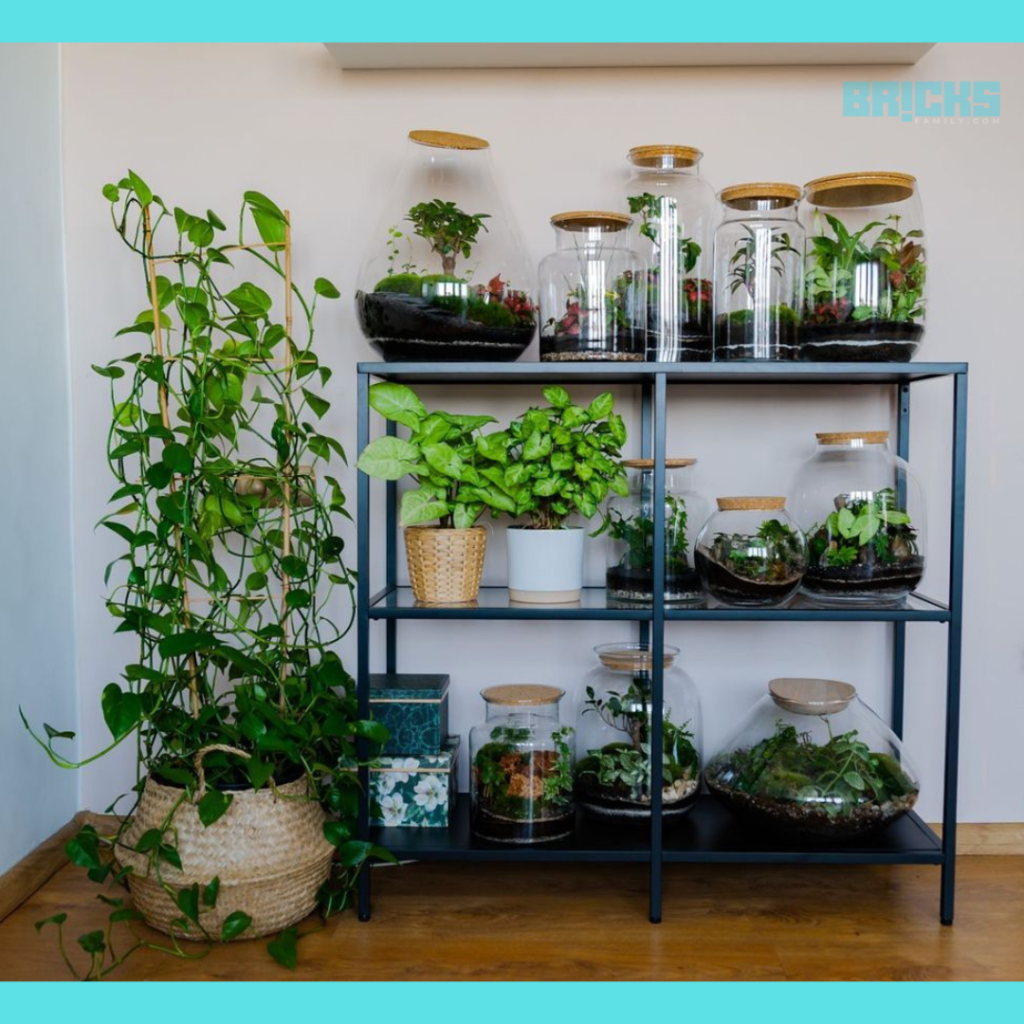 metal stand with glass containers for vertical gardening